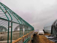 各类养殖大棚